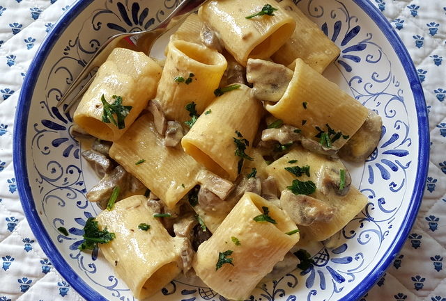 mezzi paccheri with mushrooms and cream 