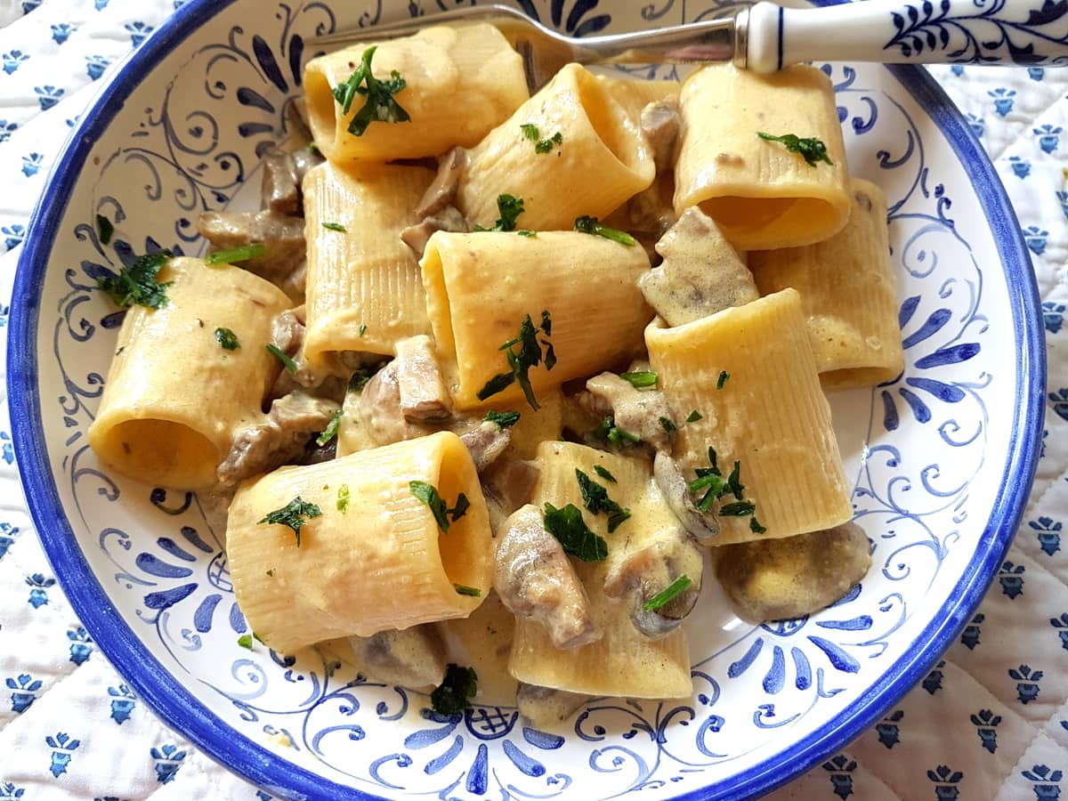 Mezzi Paccheri with mushrooms and cream.