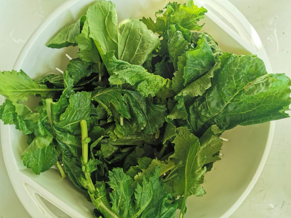 Broccoli rabe that is prepared and washed.