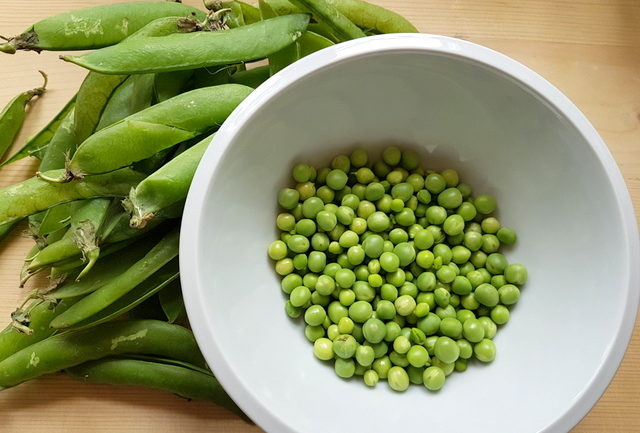 fresh shelled peas in white bowl