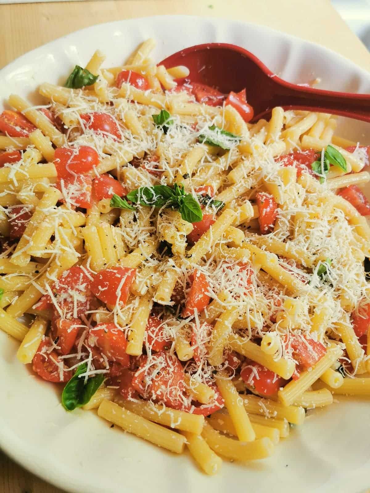 Pasta Salad Crudaiola Barese – The Pasta Project