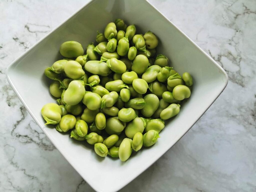 shelled fresh fava beans in white bowl