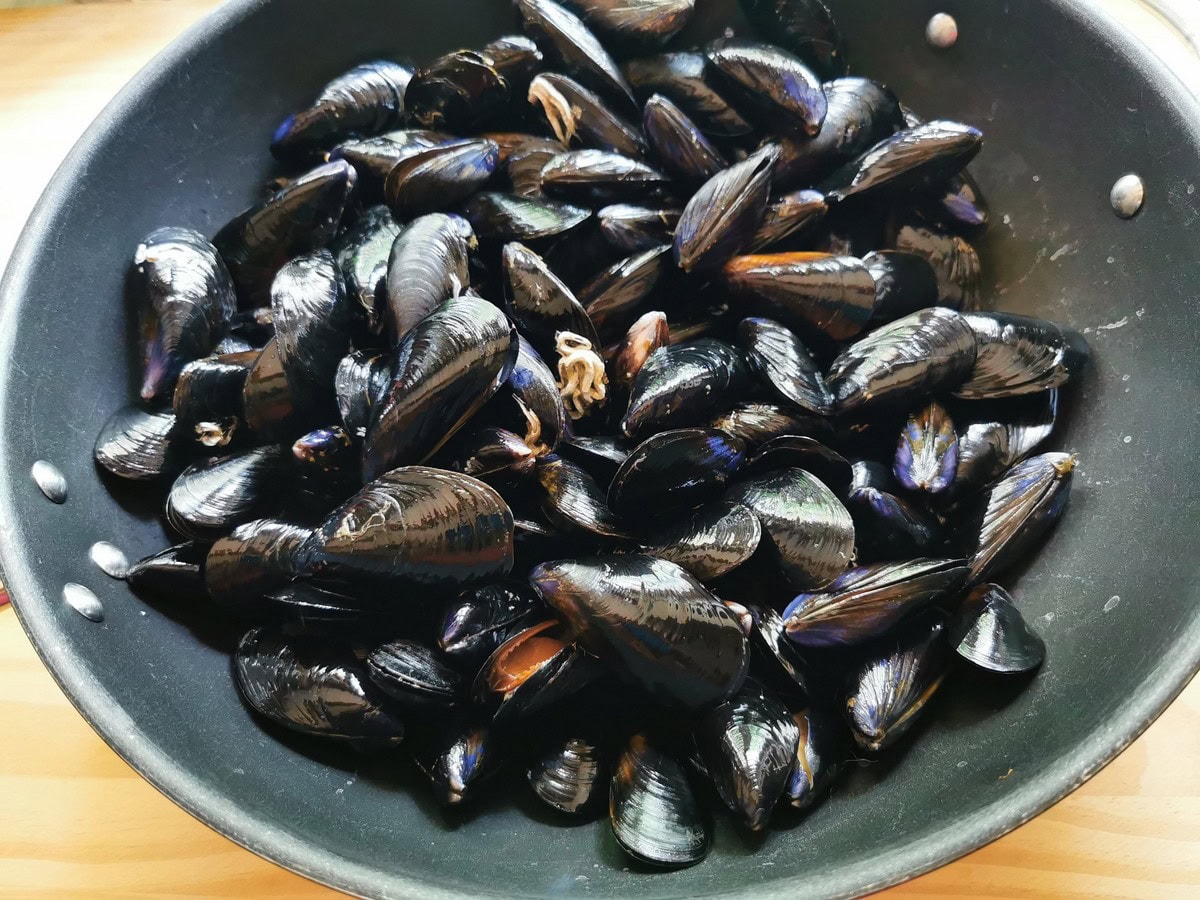 Washed and cleaned mussels ready to cook in deep frying pan.