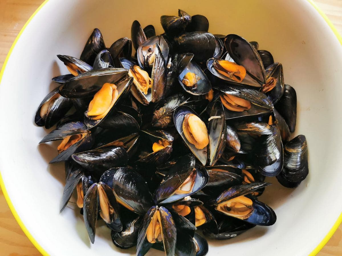 Cooked mussels in a large bowl.