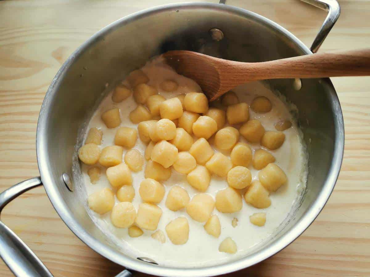 Cooked potato gnocchi in pan with Castelmagno cheese sauce.