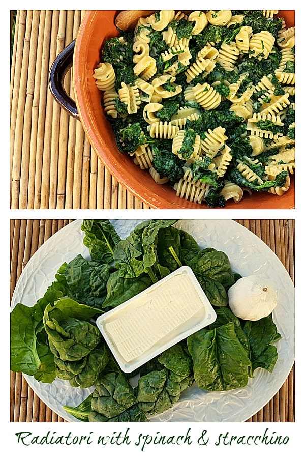 radiatori with spinach and stracchino 