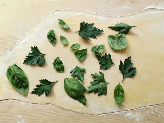 rolled out pasta sheet with parsley and basil leaves