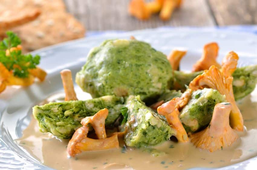 fresh chanterelles with cream sauce and spinach canederli bread dumplings