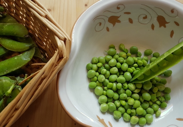 fresh garden peas from Veneto