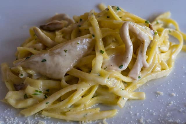 tagliolini with porcini mushrooms Piedmont