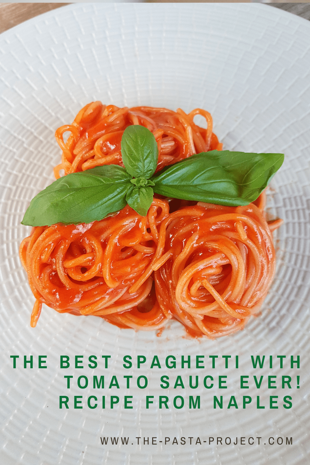 The Best Spaghetti with Tomato Sauce Ever! The Pasta Project